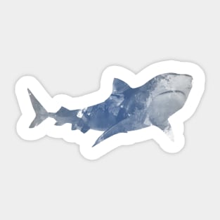 Shark Sticker